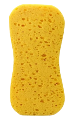 Eponge